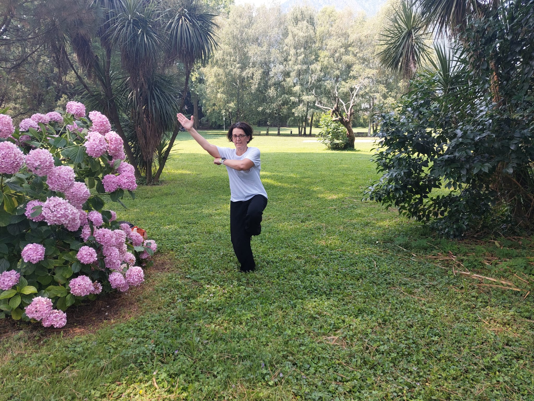 Pratique du Tai Chi à l'Europa Taichi 2026